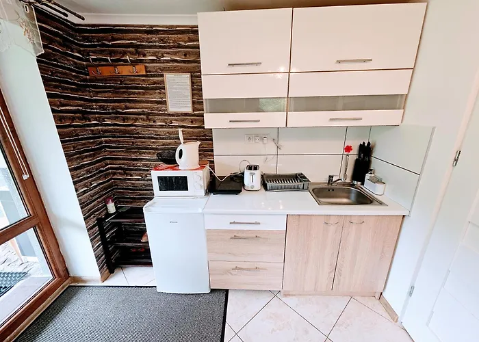 Dlugoszowka 公寓 扎科帕内